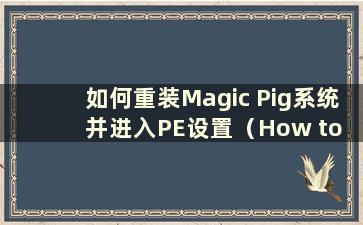如何重装Magic Pig系统并进入PE设置（How to install Magic Pig系统）